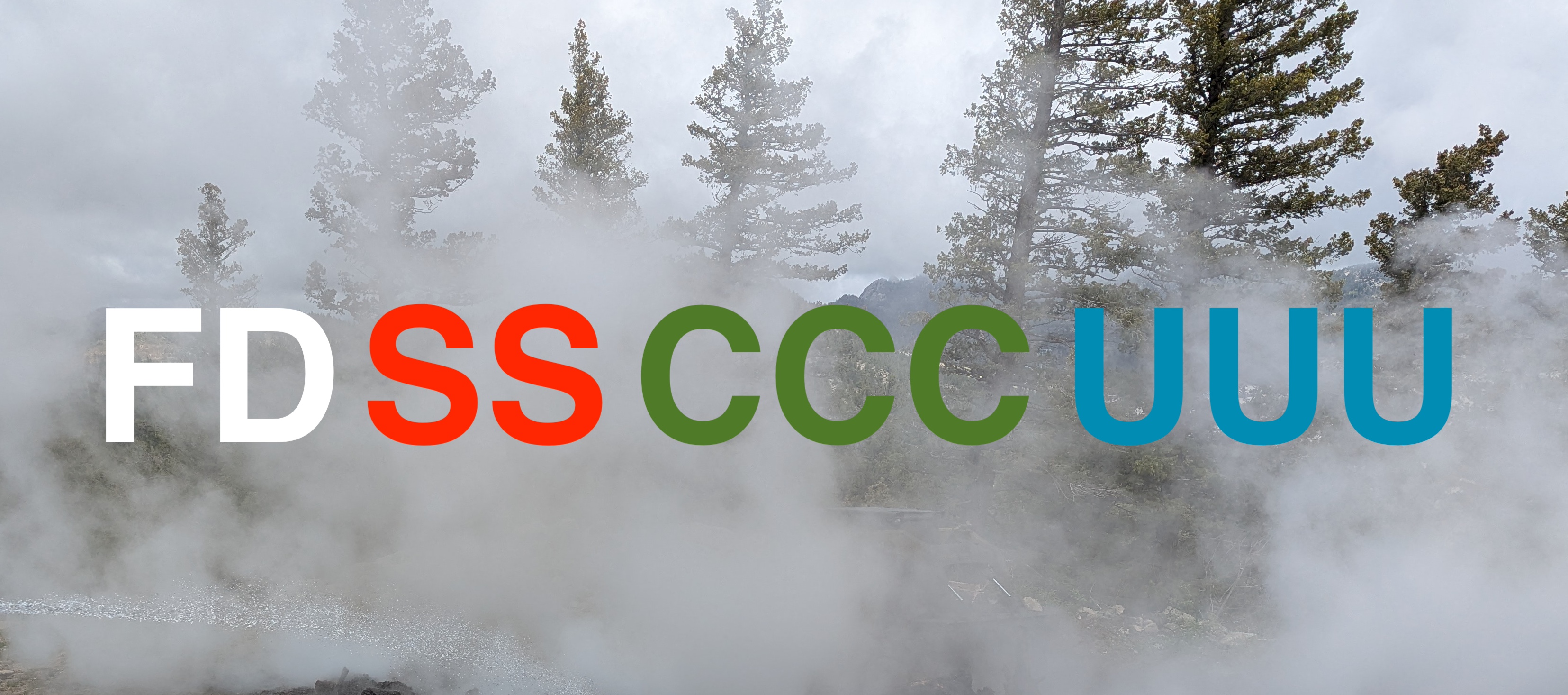 NERIS FDs are structured