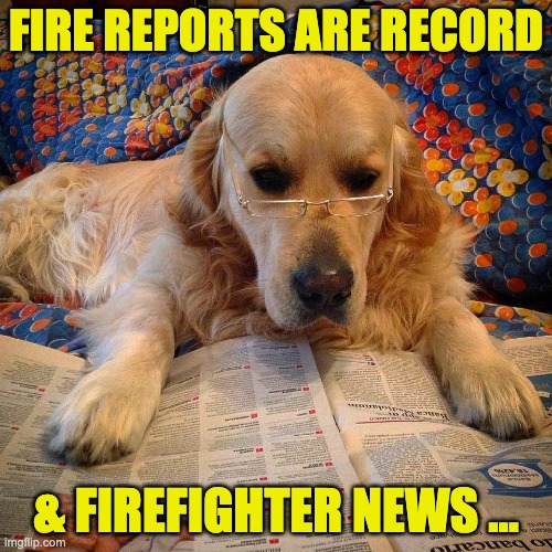 Reading reports should be as engaging as reading the fire department news