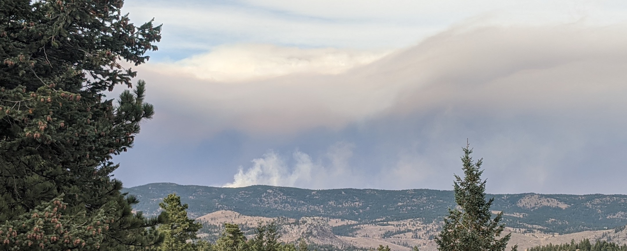 Smoke Report / Smoke Chase - Smoke