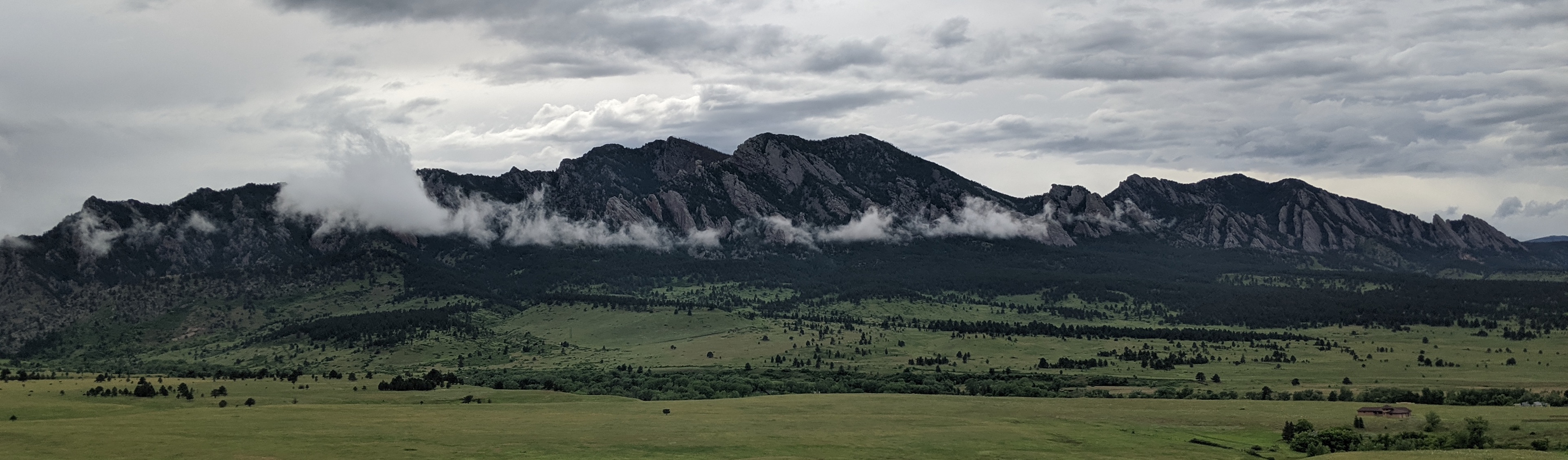 Water Dogs - Vapor Clouds